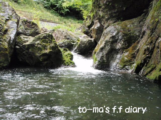 f0137709_1374920.jpg