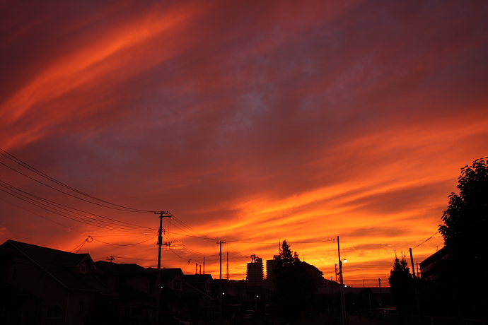 e0121814_0282863.jpg