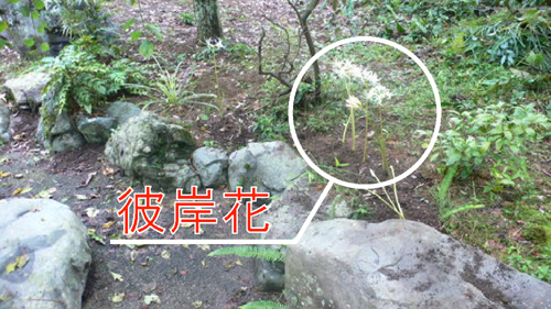 f0060424_23381240.jpg