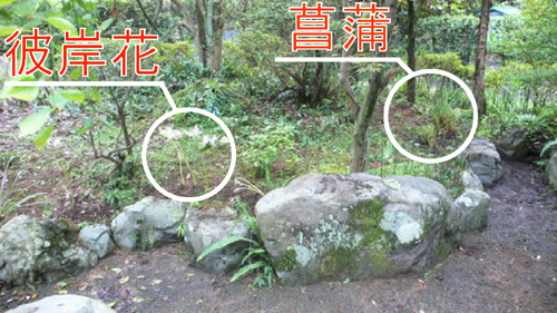 f0060424_23383670.jpg