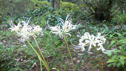 f0060424_23385726.jpg