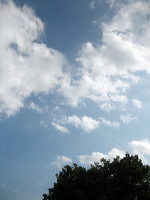 d0107326_1416697.jpg