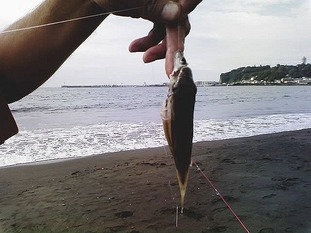 c0158029_2144241.jpg