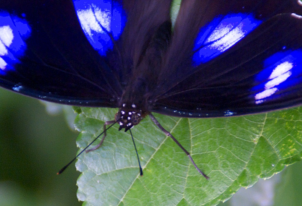 d0053930_5354231.jpg