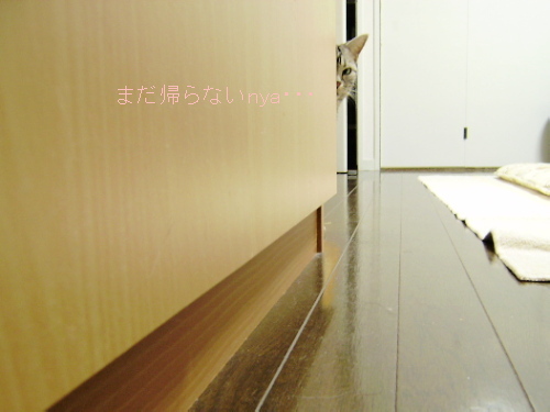 f0175434_15434041.jpg
