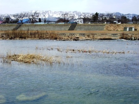 c0101739_22462825.jpg