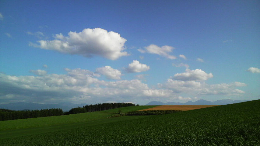 d0139939_19572030.jpg