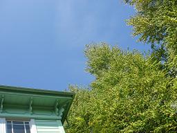 a0014840_21412750.jpg
