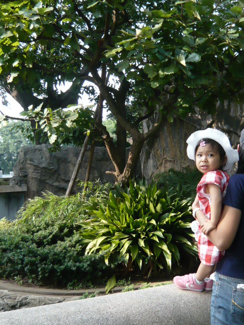 a0087341_653328.jpg