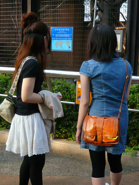 a0087341_67126.jpg