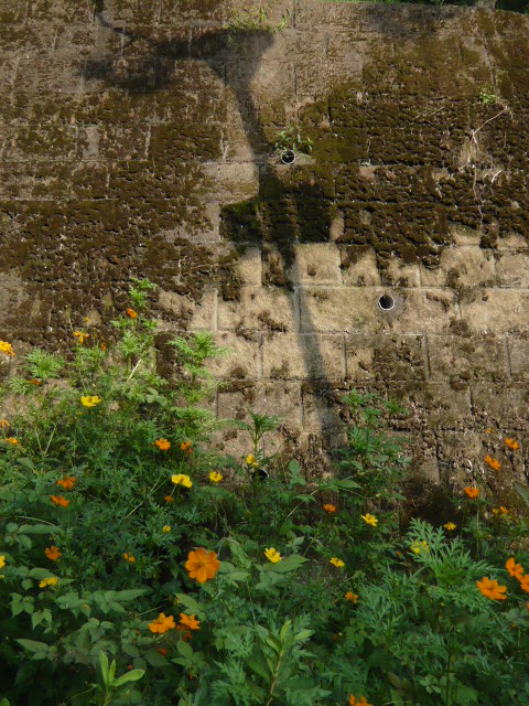 a0087341_671540.jpg