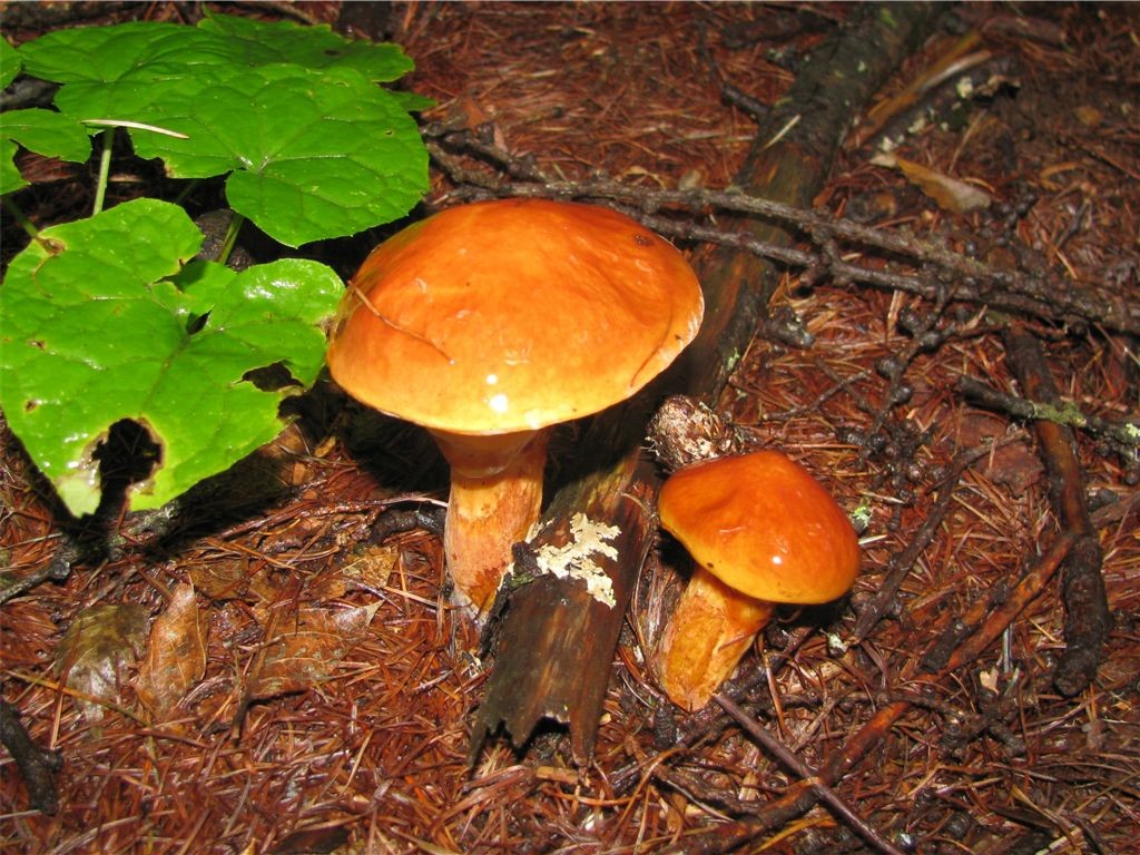 f0151044_2245520.jpg