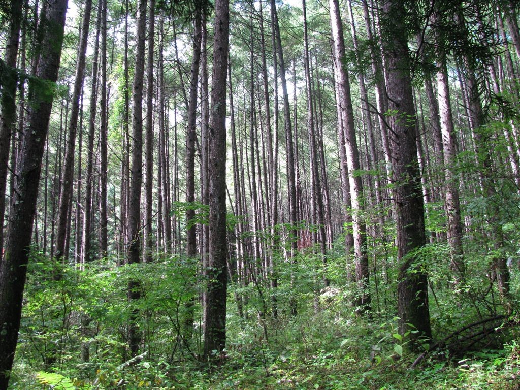 f0151044_2263718.jpg