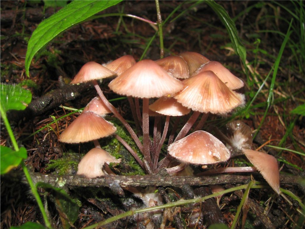 f0151044_2271037.jpg