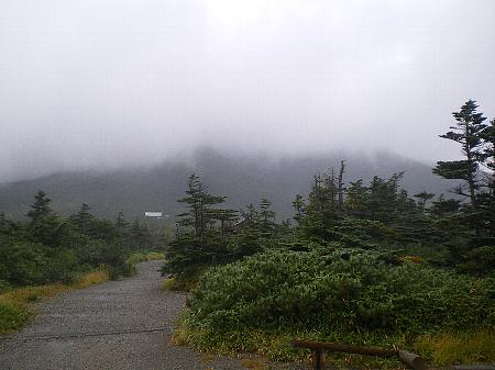 c0042847_17472421.jpg