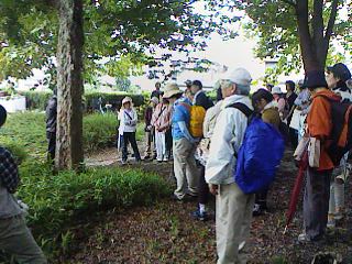 c0100148_1441594.jpg