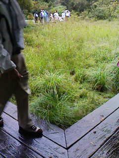 c0100148_1539217.jpg