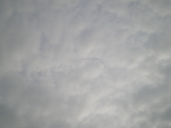 e0017051_13542916.jpg