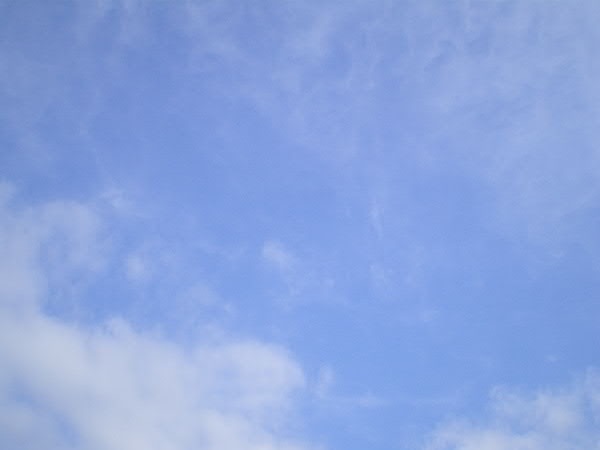 e0017051_13545225.jpg