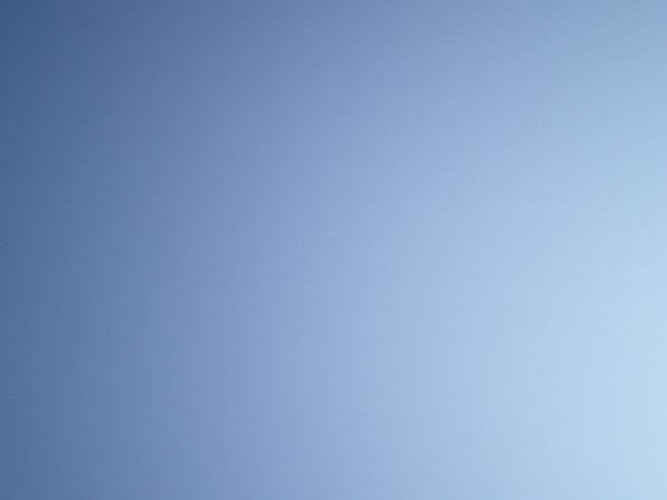 e0017051_13554448.jpg
