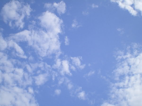 e0017051_135574.jpg