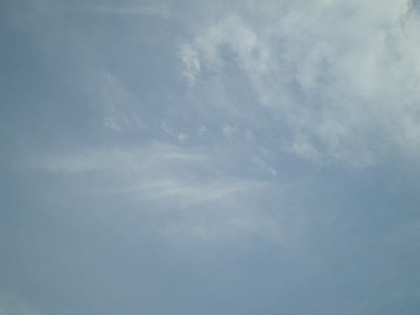 e0017051_13561726.jpg