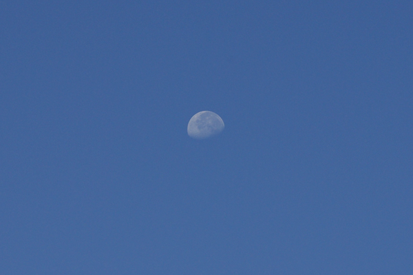 f0176353_095355.jpg