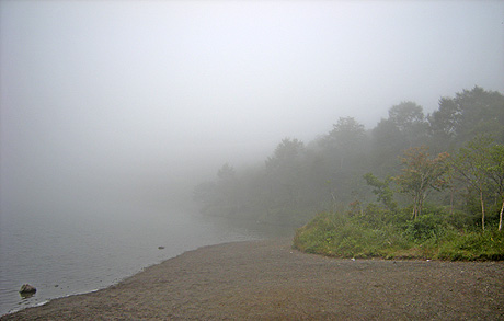 a0001354_1946178.jpg