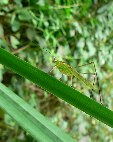 d0091754_131360.jpg