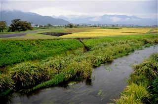 c0047856_22142118.jpg