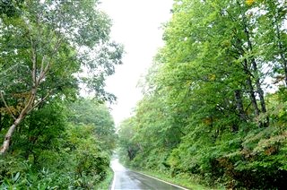 c0047856_22151537.jpg
