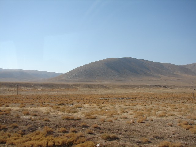 c0177361_1432366.jpg