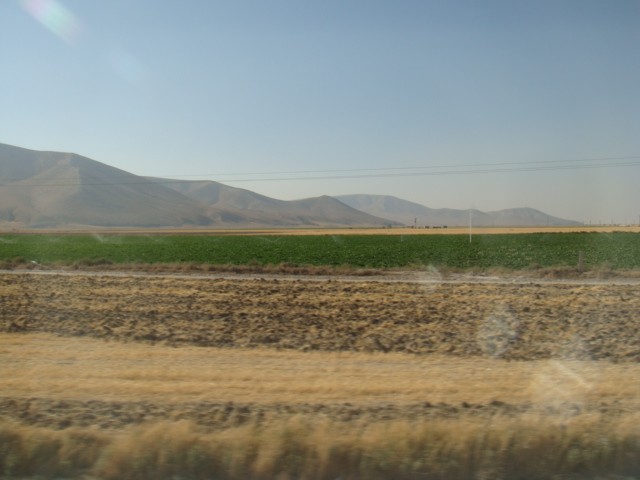 c0177361_1432931.jpg