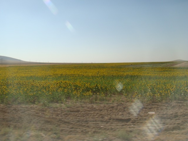 c0177361_1433229.jpg