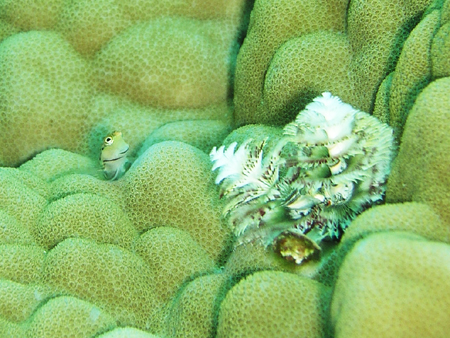 b0062363_20245520.jpg
