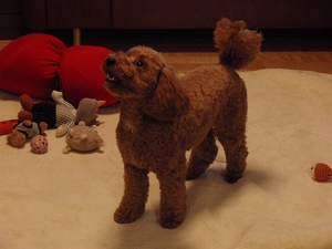 c0135363_18202622.jpg