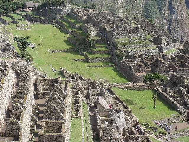 f0160069_94159.jpg