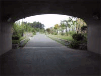 a0105570_22431446.gif