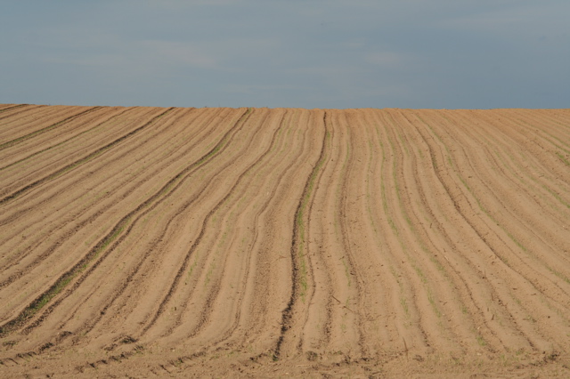 e0133273_18562435.jpg