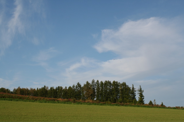 e0133273_18592884.jpg