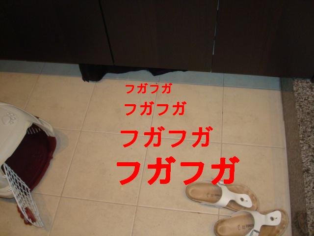 e0134873_14212738.jpg