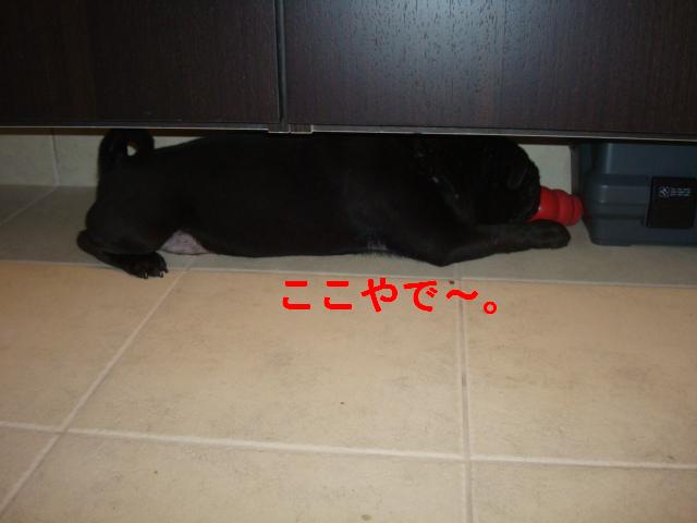 e0134873_1424353.jpg