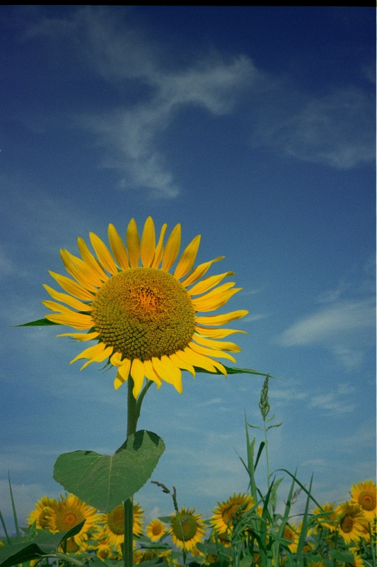 e0113977_0201556.jpg