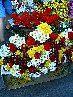 f0054677_6432568.jpg