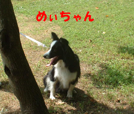 c0120585_18393731.jpg