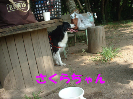 c0120585_1840441.jpg