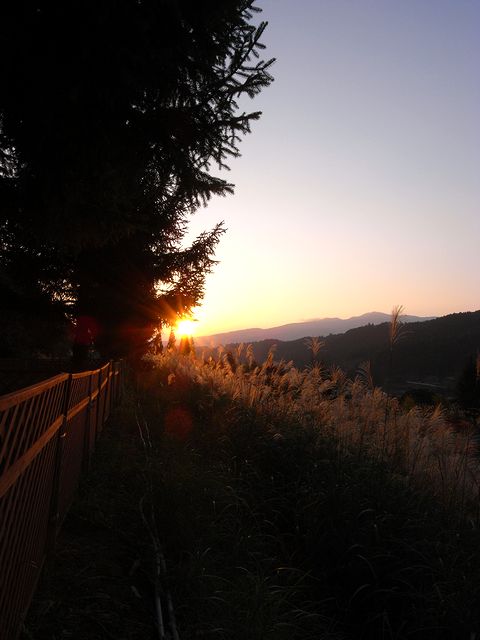 a0093592_23303780.jpg