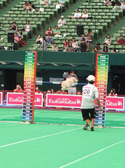 c0044199_14443027.jpg