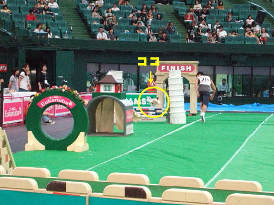 c0044199_17185844.jpg