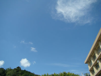 a0047200_1761589.jpg